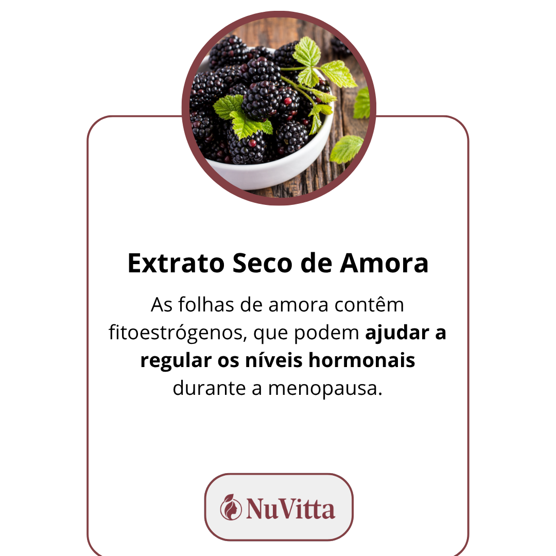 BASE INGREDIENTES (2)