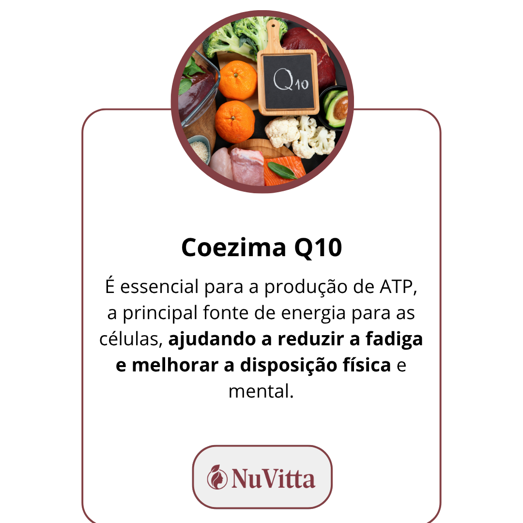 BASE INGREDIENTES (3)